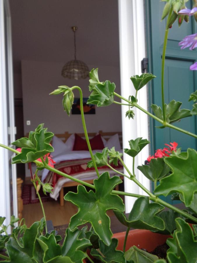 Hotel Garni Suisse Сан-Мартіно-ді-Кастроцца Екстер'єр фото